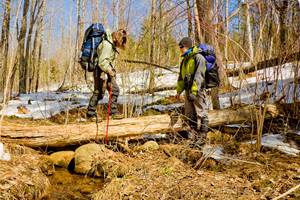 Best Hiking Trails Around Toronto