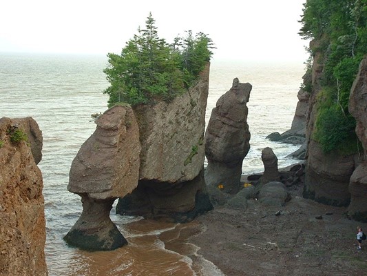 Fundy National Park