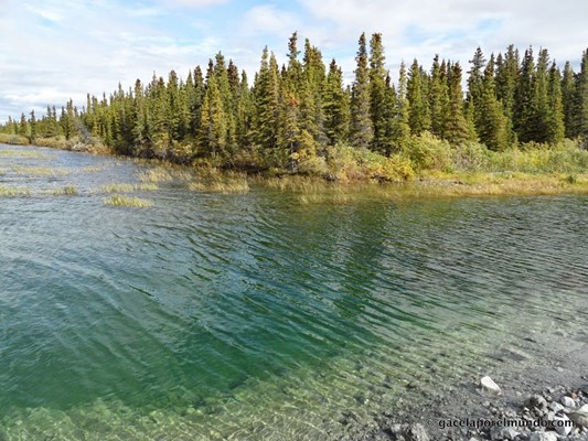 Kluane National Park and Reserve