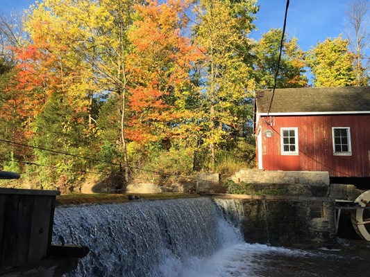 RICHARD SHUM RICHARD SHUM