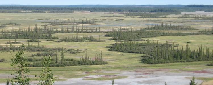 Wood Buffalo National Park