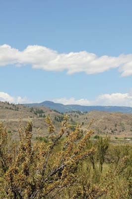 Desert Centre Osoyoos Desert Centre Osoyoos