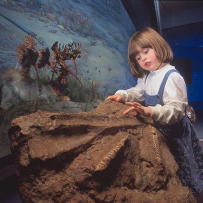 Royal Saskatchewan Museum Royal Saskatchewan Museum