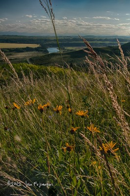 Glenbow Ranch Park Foundation Glenbow Ranch Park Foundation