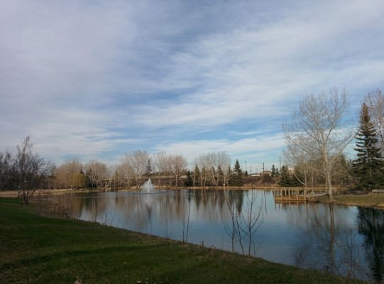 Great Chief Park Great Chief Park