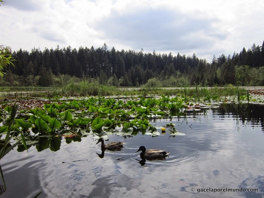 Stanley Park Stanley Park