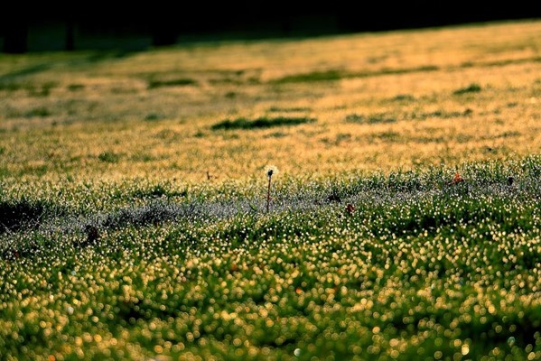 New Brighton Park New Brighton Park