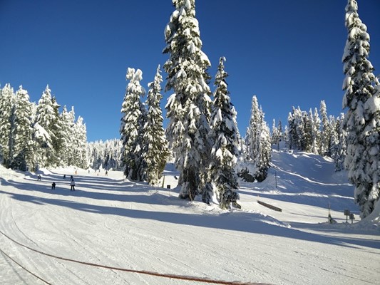 Mount Seymour Provincial Park Mount Seymour Provincial Park