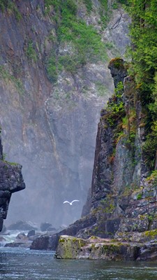 Capilano River Regional Park Capilano River Regional Park