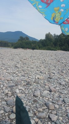 Brackendale Eagles Provincial Park Brackendale Eagles Provincial Park