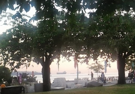 Ambleside Park Ambleside Park