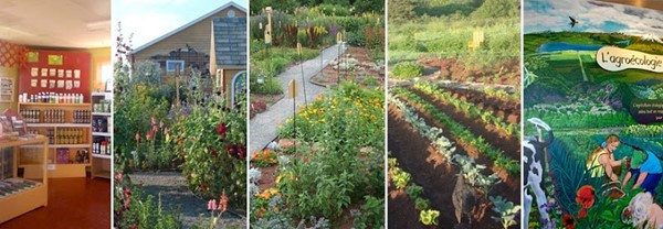 Les Bio-Jardins Rocher-Percé Les Bio-Jardins Rocher-Percé