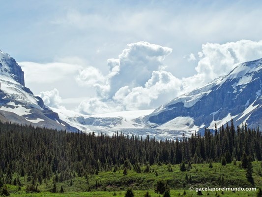 Rampart Creek Campground Rampart Creek Campground