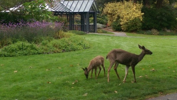 Government House Government House