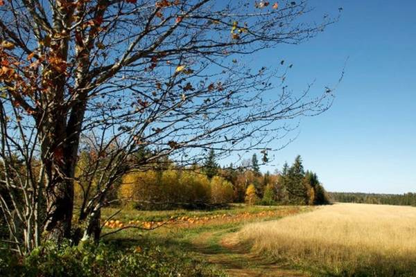 Island Trails Island Trails