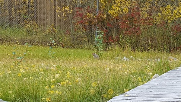 Takhini Hot Springs Takhini Hot Springs