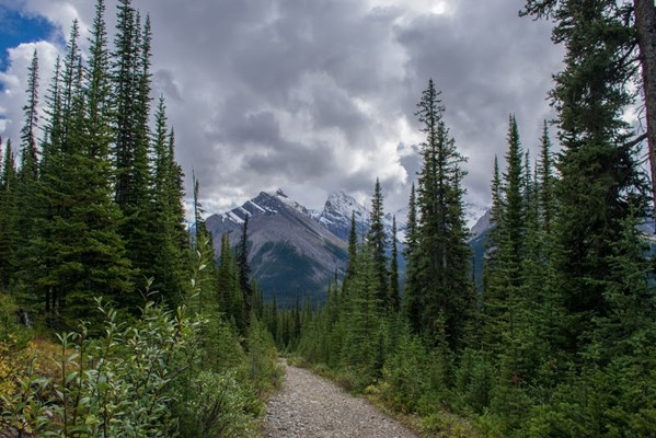 Chester Lake Trail Head Chester Lake Trail Head