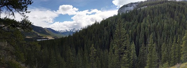 Prairie View Trail Prairie View Trail