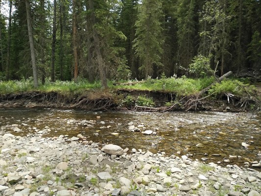 Mesa Butte Provincial Recreation Area Mesa Butte Provincial Recreation Area