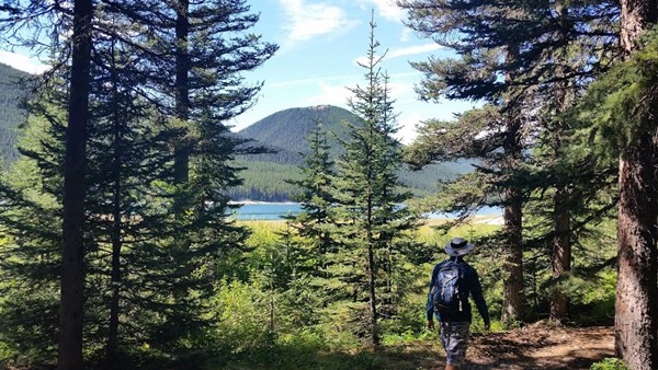 Boulton Creek Campground Boulton Creek Campground