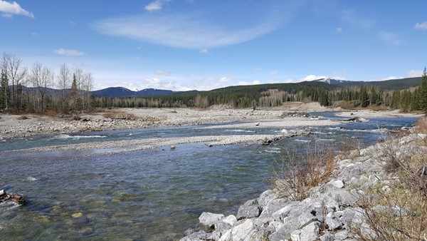 Fullerton Loop Parking Fullerton Loop Parking