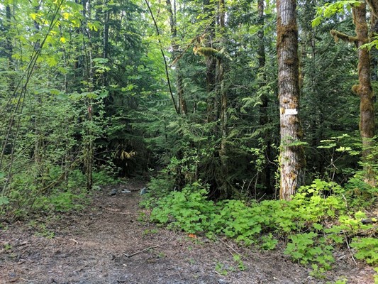High Falls Creek Trailhead High Falls Creek Trailhead