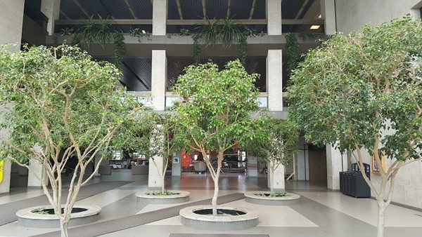 MacKenzie Art Gallery MacKenzie Art Gallery