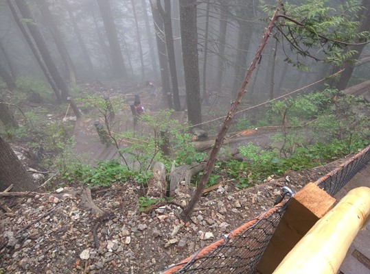 The Grouse Grind The Grouse Grind