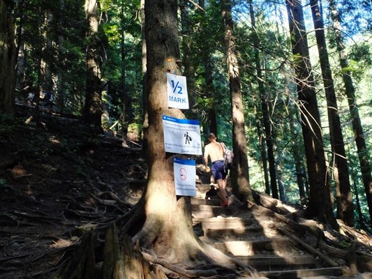 Flint & Feather Trail Flint & Feather Trail