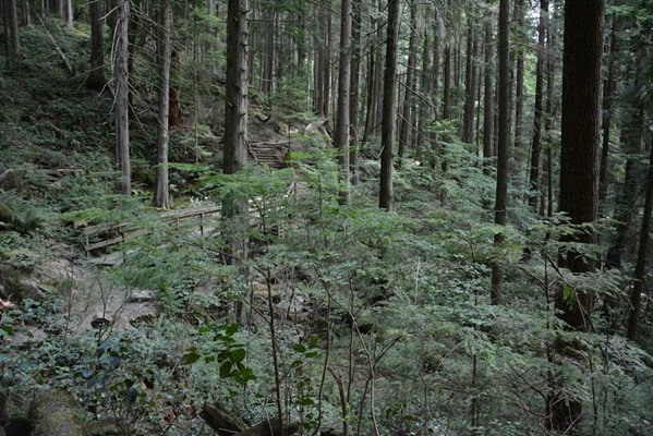 Quarry Rock Quarry Rock