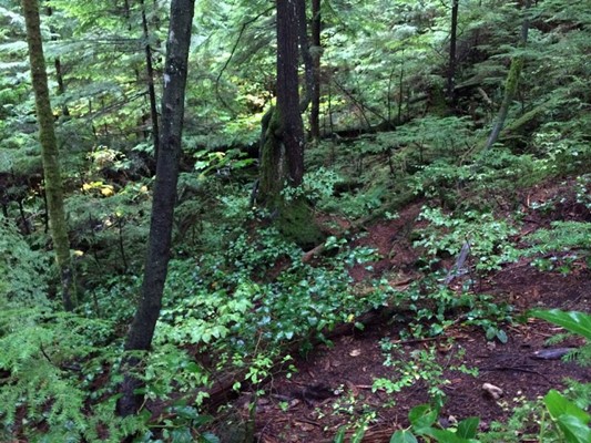 Kennedy Falls Kennedy Falls