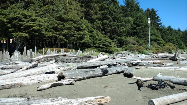 Chesterman Beach Chesterman Beach