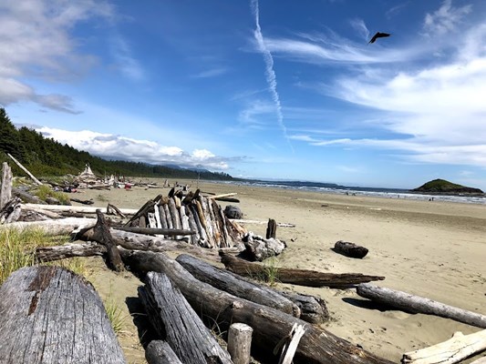 Pacific Rim National Park Reserve - Long Beach Unit Pacific Rim National Park Reserve - Long Beach Unit