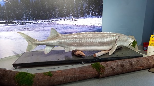 Fraser River Discovery Centre Fraser River Discovery Centre