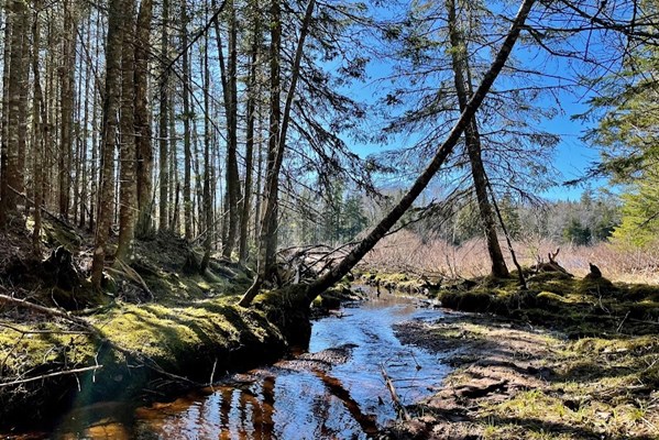 Winter River Hiking Trail Winter River Hiking Trail