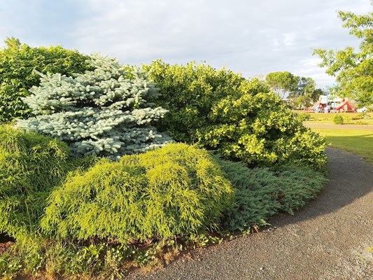 Joseph A. Ghiz Memorial Park Joseph A. Ghiz Memorial Park