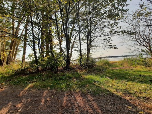 Robert Cotton Park Robert Cotton Park