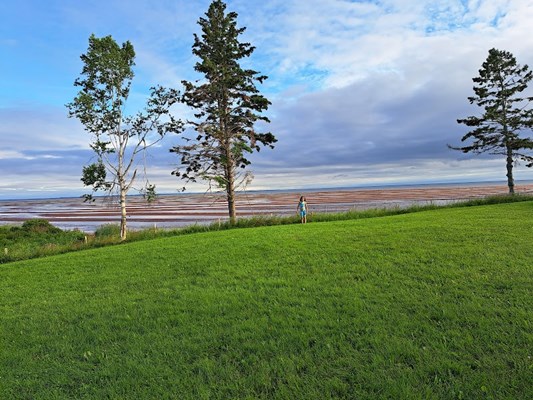 Tea Hill Park and Beach Tea Hill Park and Beach