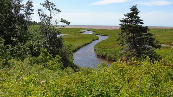 Kinlock Creek Park Kinlock Creek Park