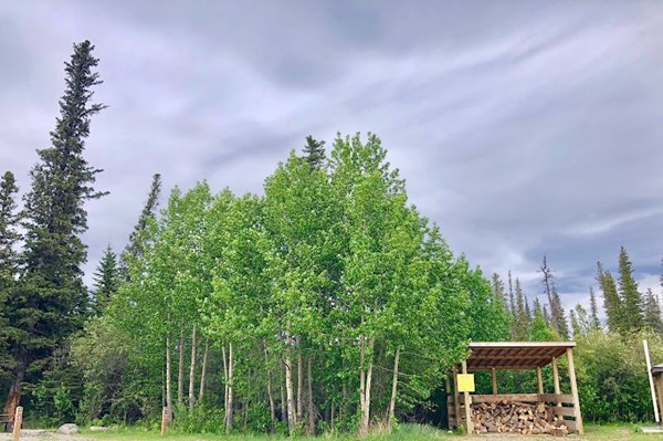 Kinky Lake Campground Kinky Lake Campground